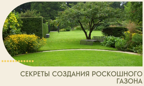 Секреты создания роскошного газона в Лянторе
