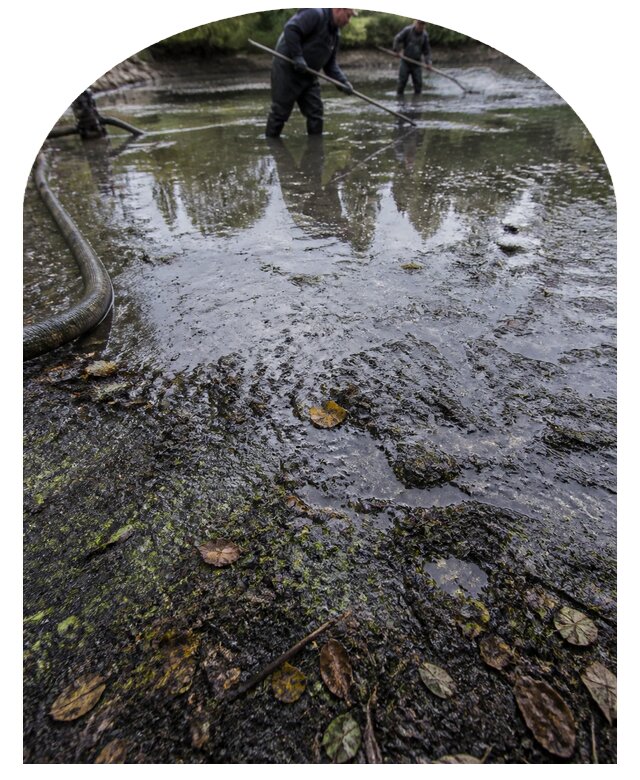 Очистка пруда в Лянторе от ила мусора и водорослей с вывозом